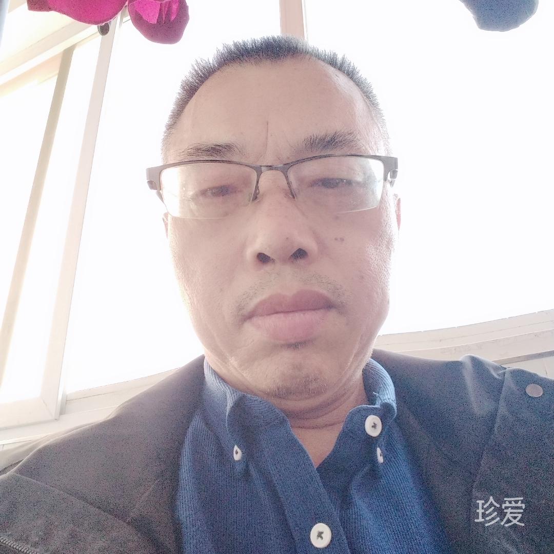 枫树