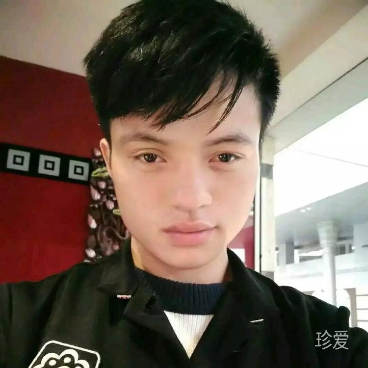 鲁力