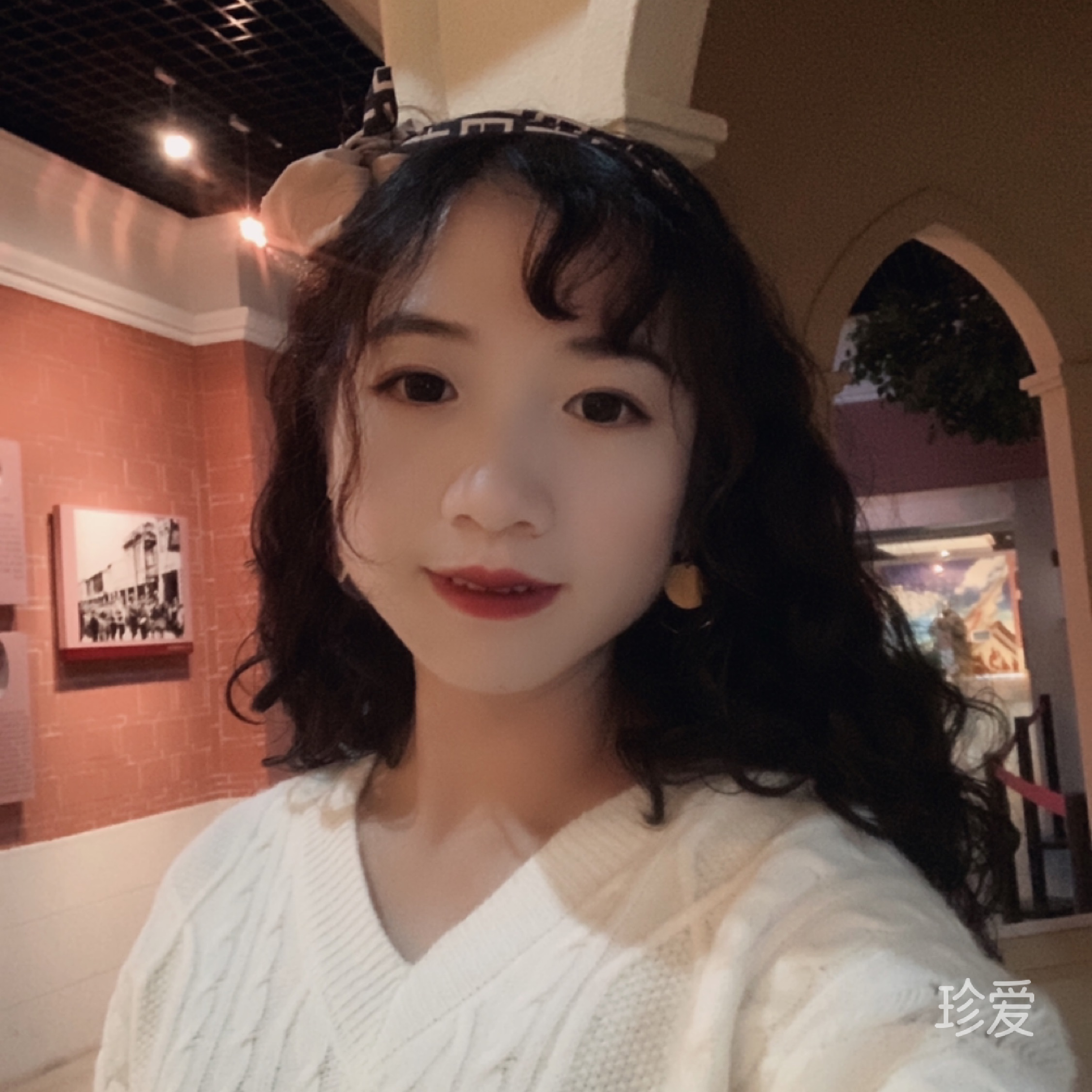 傲娇的猫