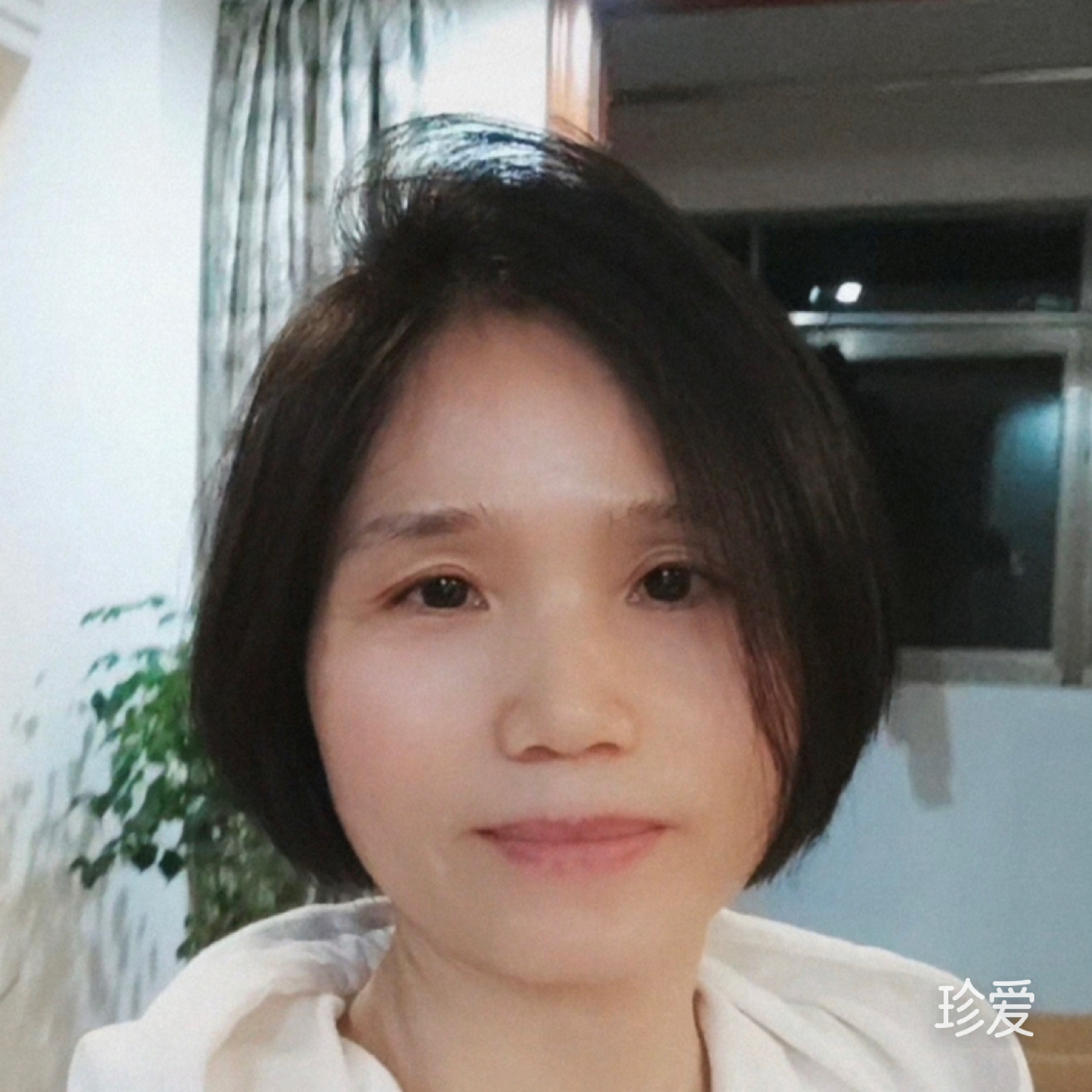 春雨