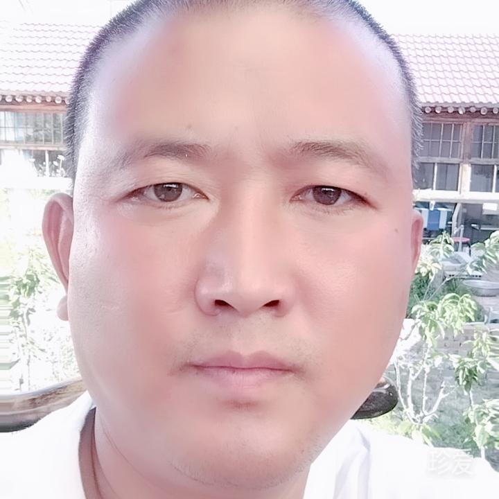 菩提树下