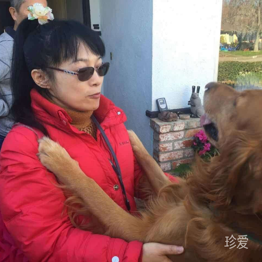 莲龙青衣
