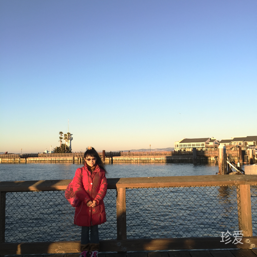 莲龙青衣