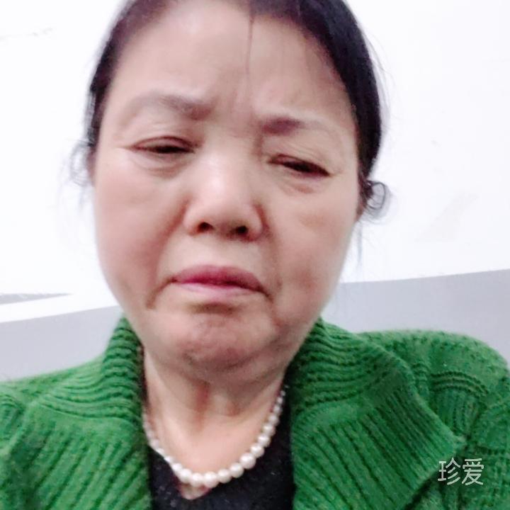 单飞的蝶
