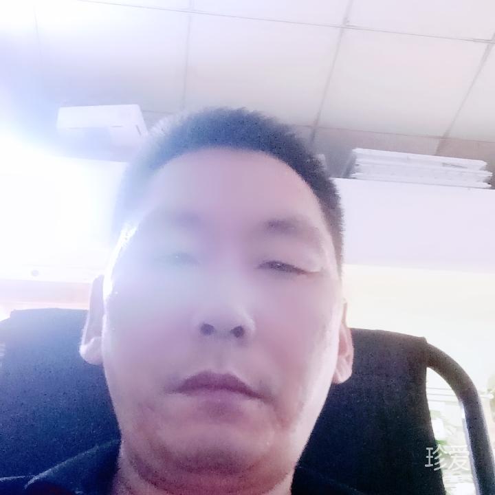 趙财进宝