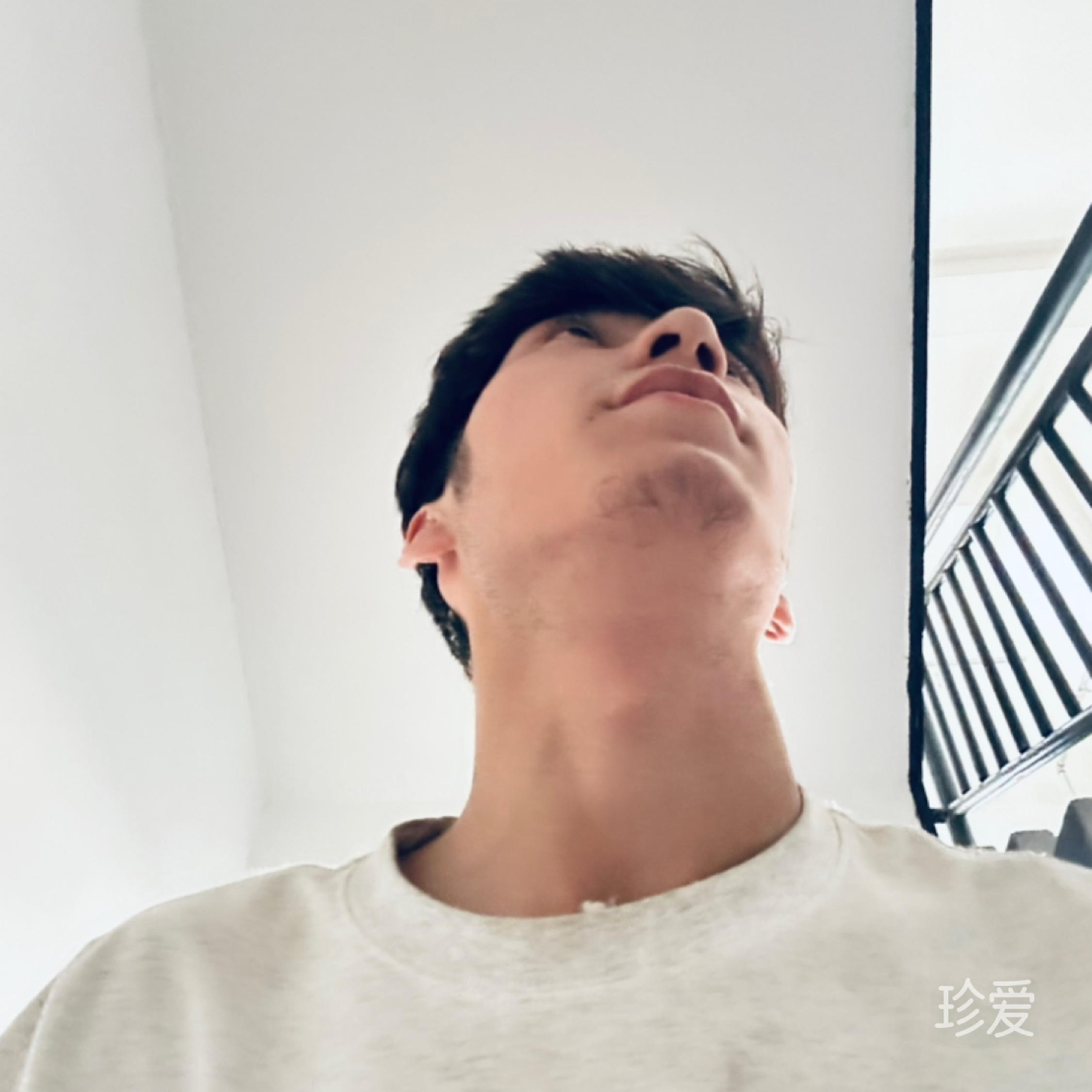 秋枫叶