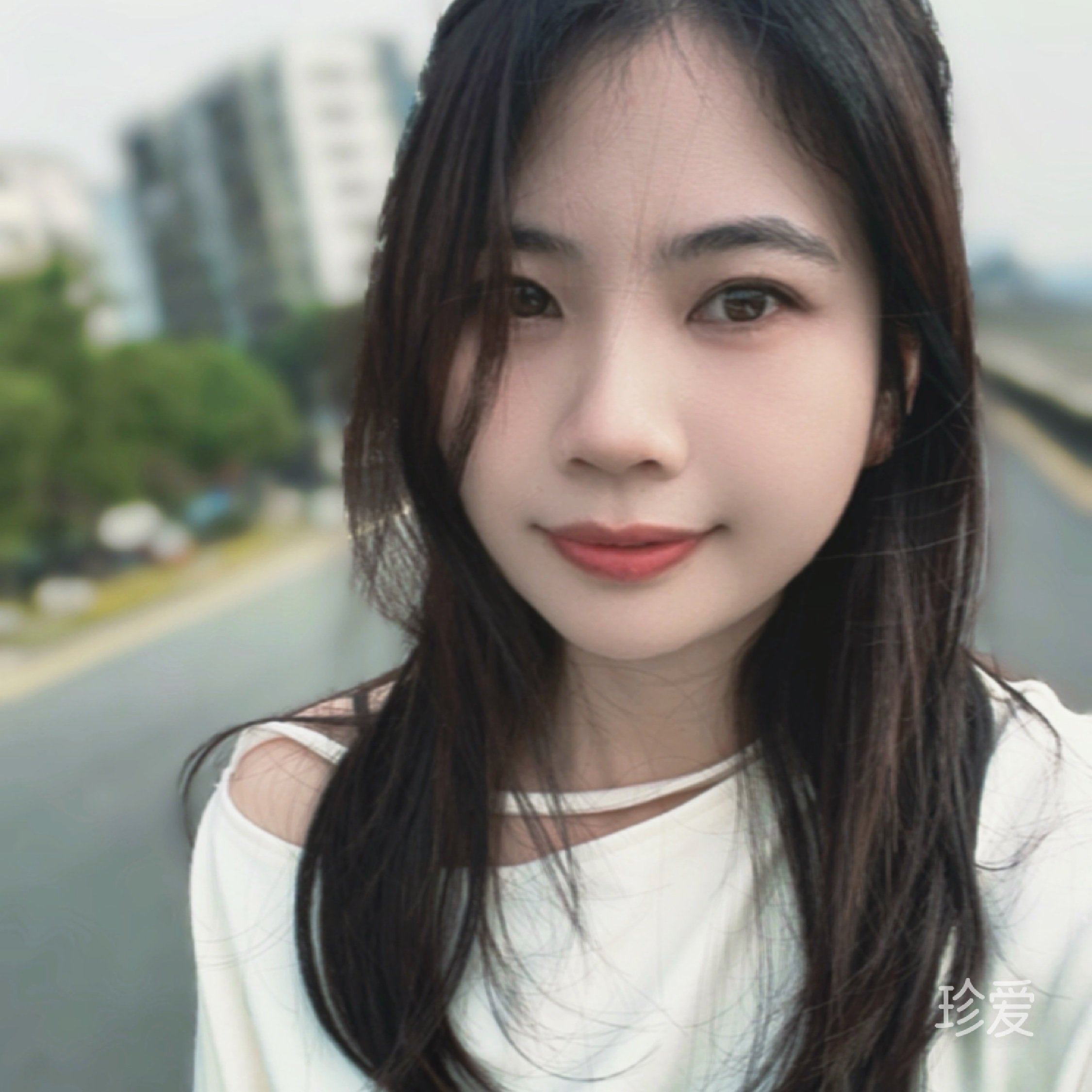 向往有风的地方