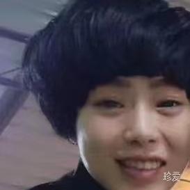 风雨中的蒲公英