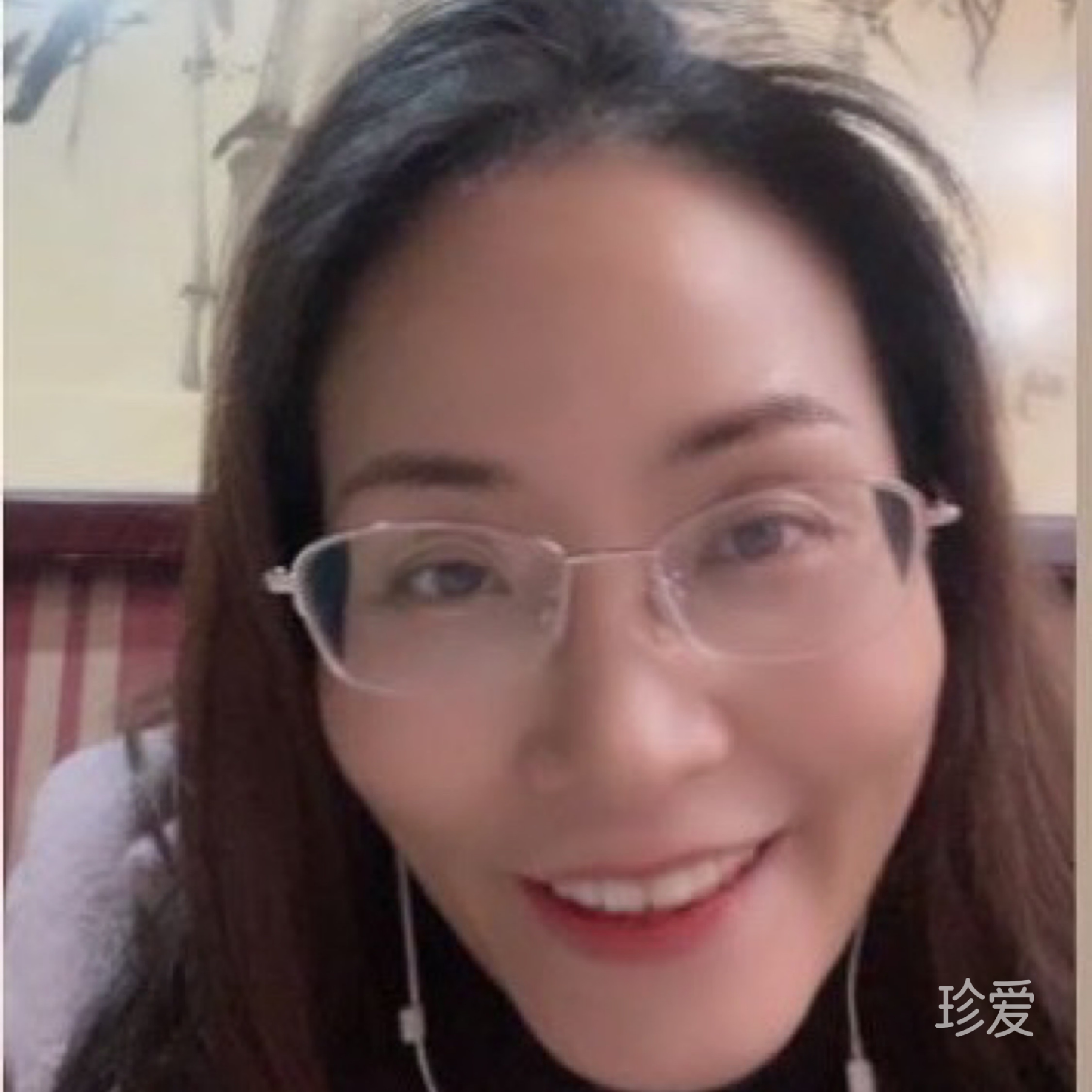 自由燕子