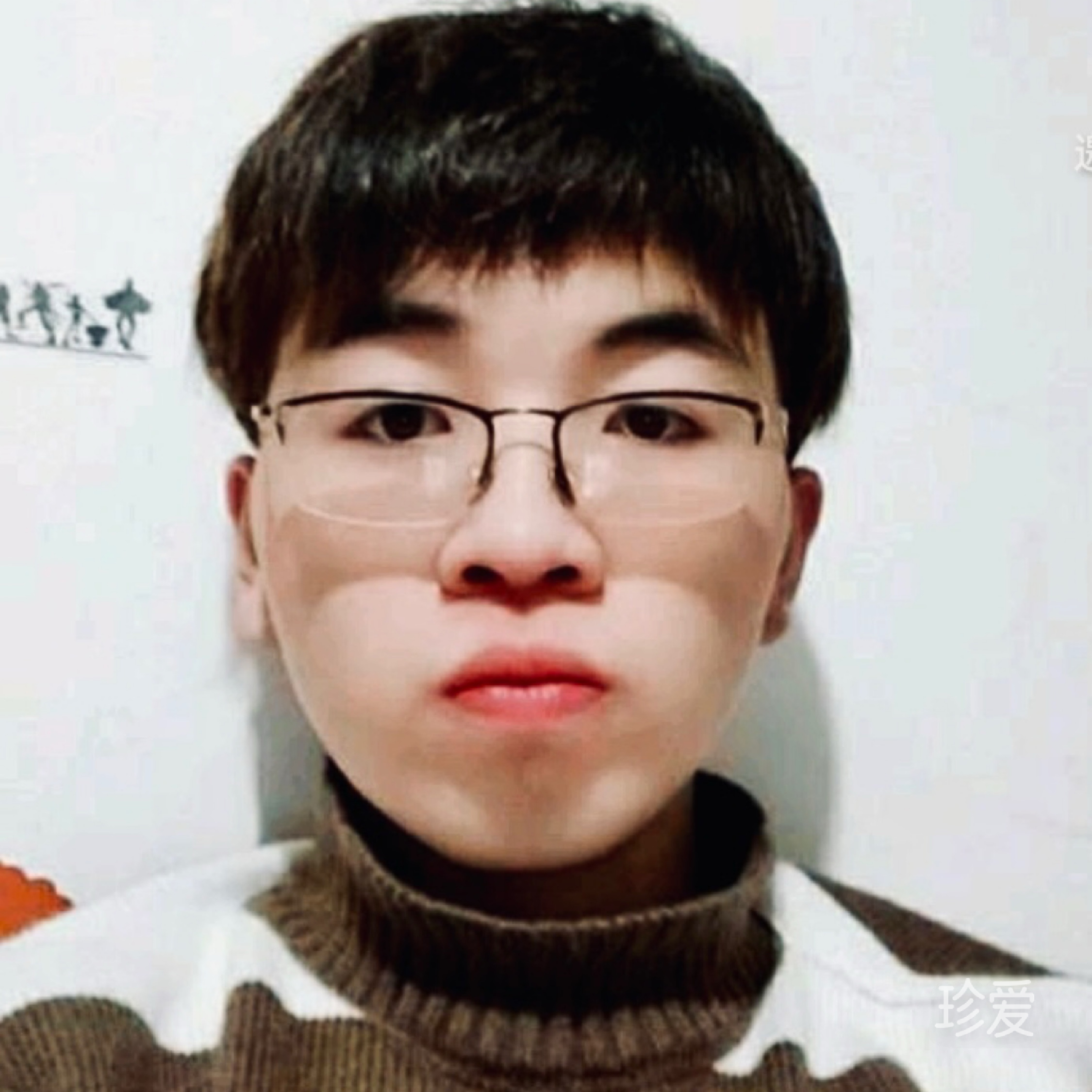 苳苳