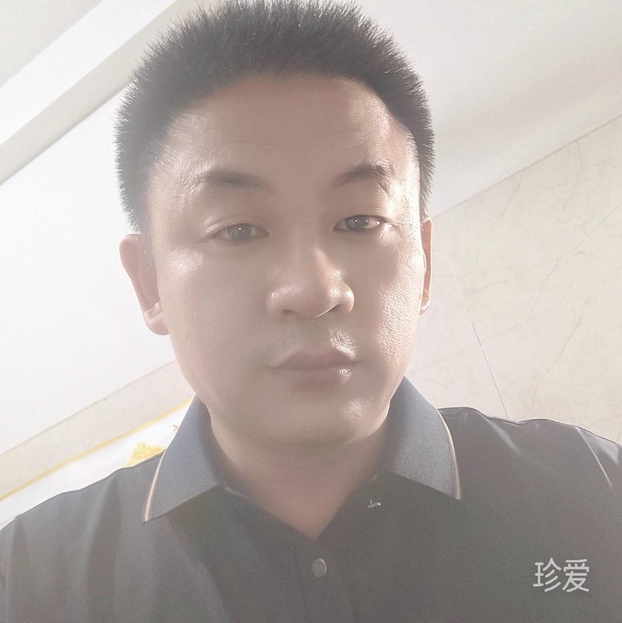 拼搏的骏马
