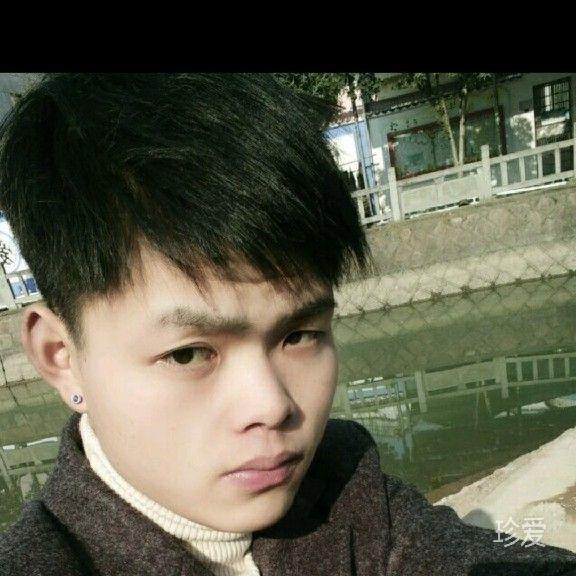 一只小懒虫