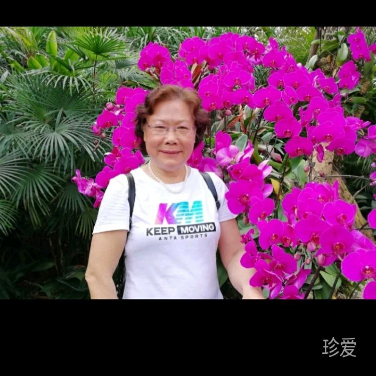 华静思语