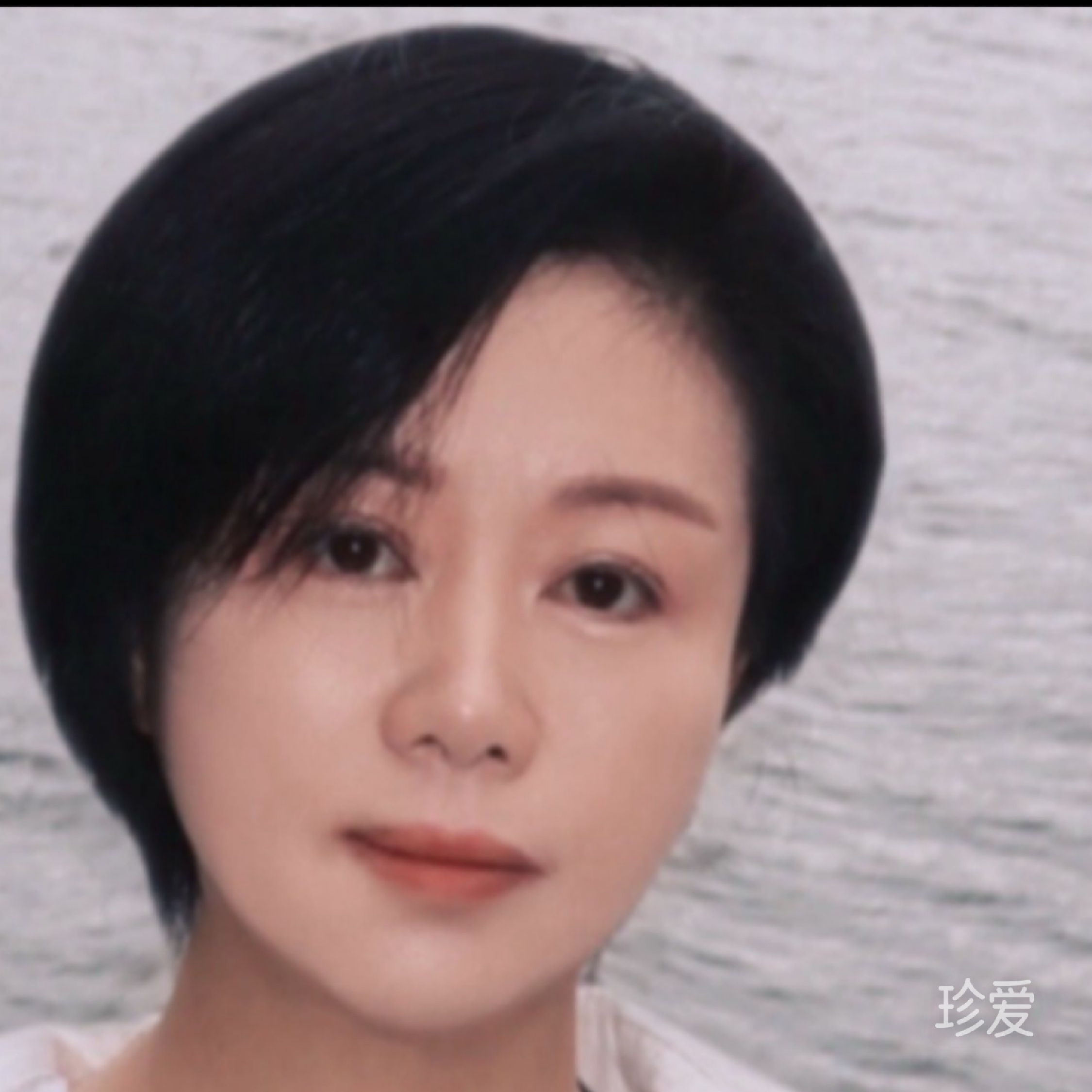 有风无风皆自由