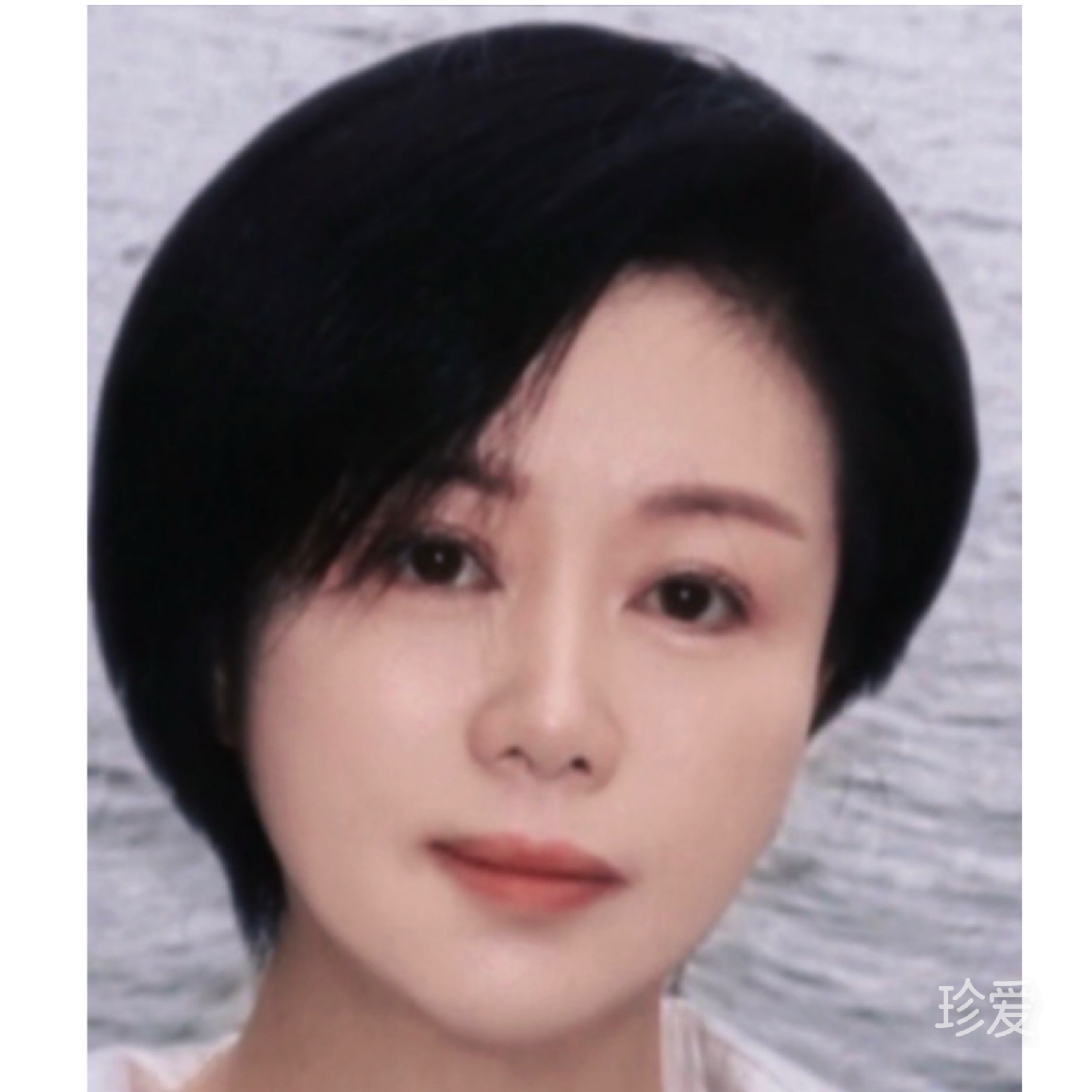 有风无风皆自由