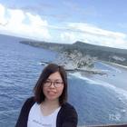 夏天的微風(fēng)