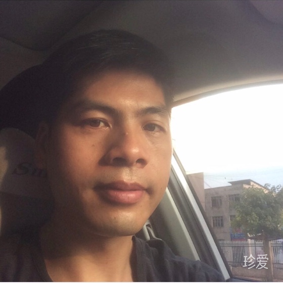 披著雪衣的青松