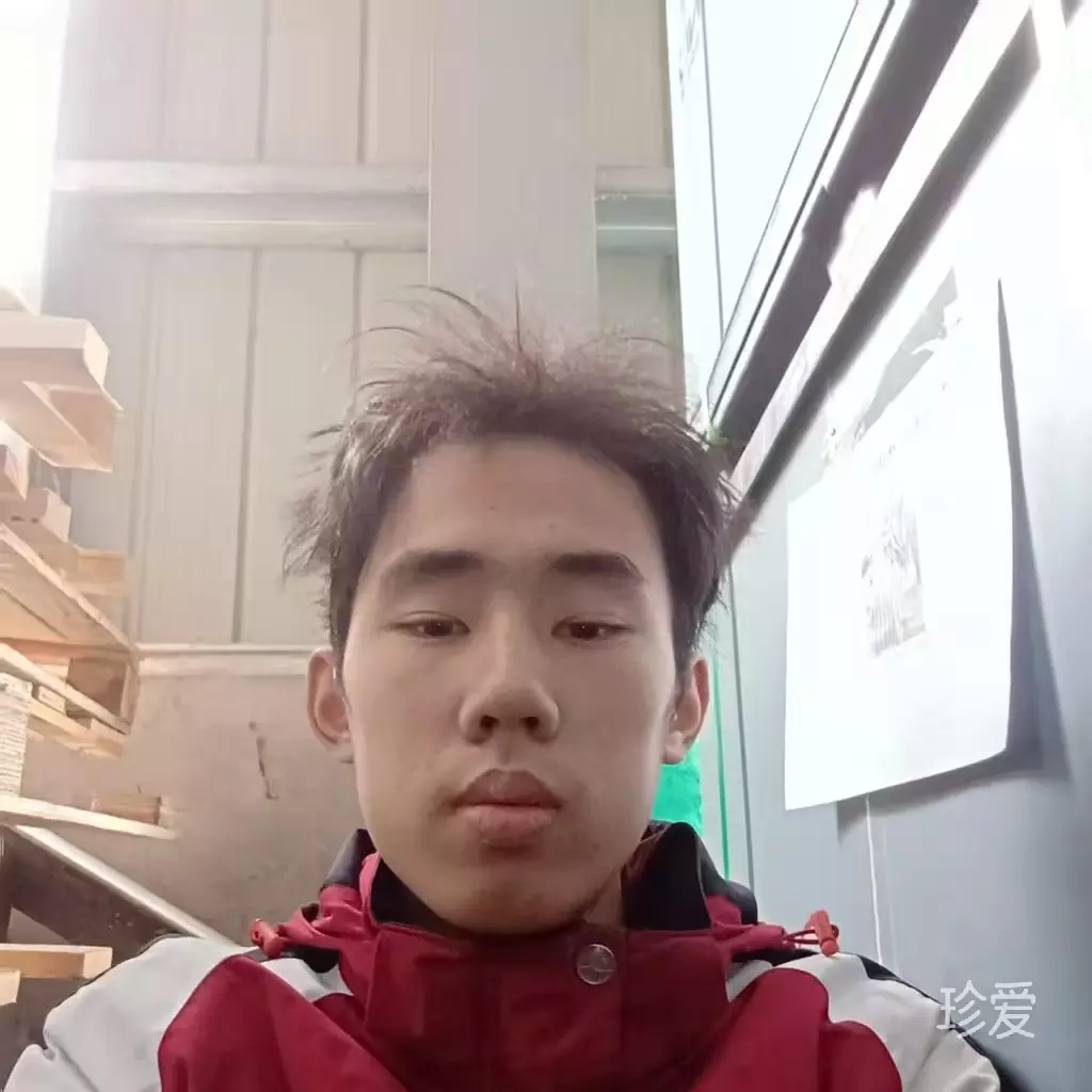 雨落尘成泥