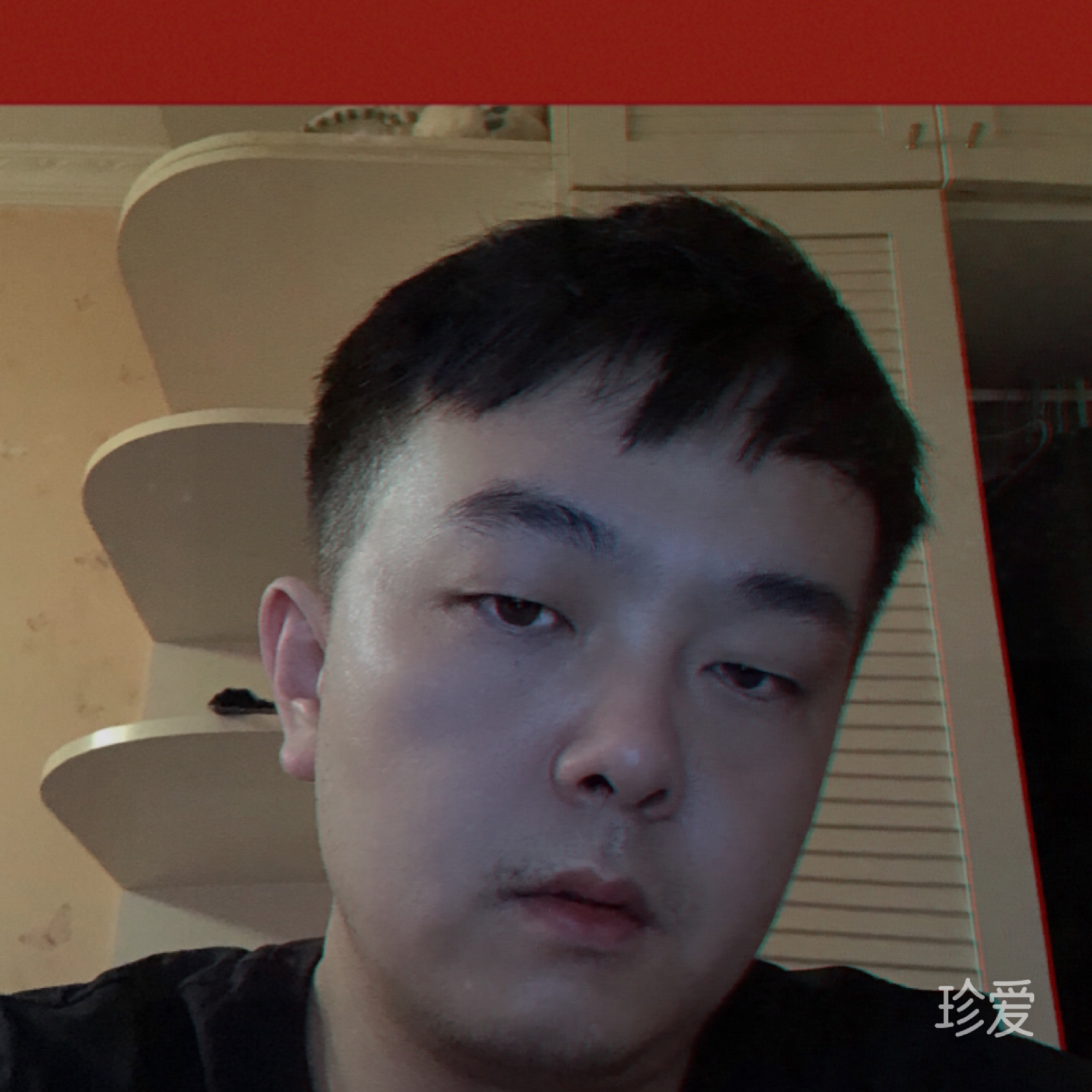 小小楠楠