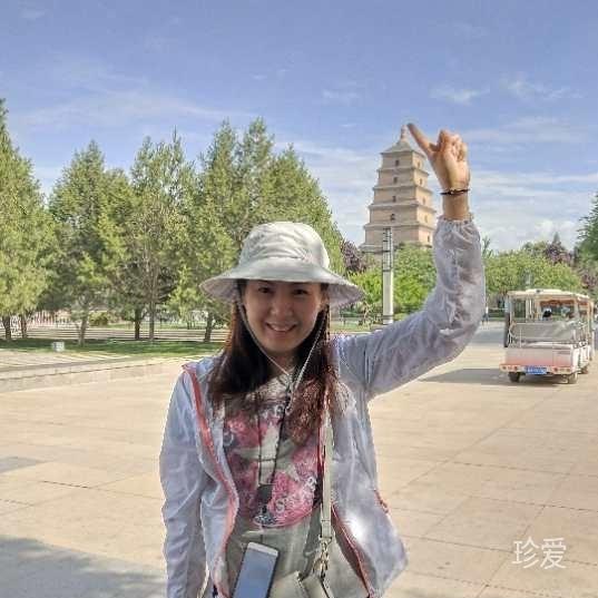 阳光下的海鸥
