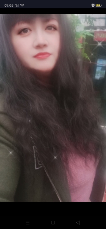 没有归宿的落花