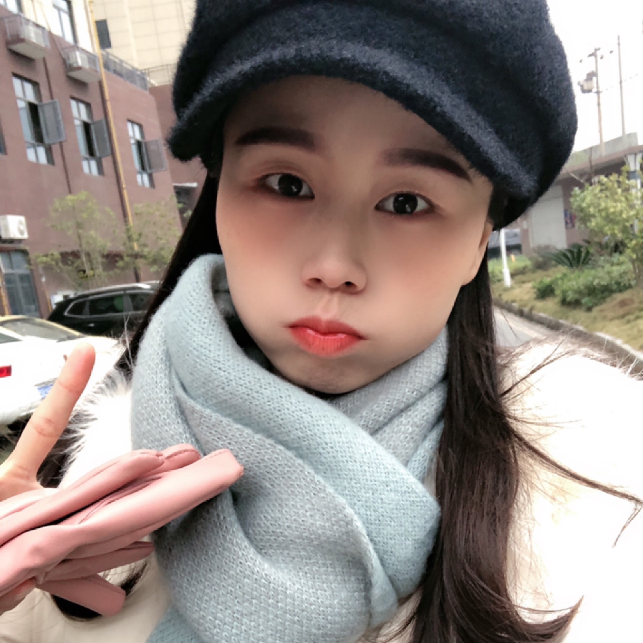 人生若只如初見