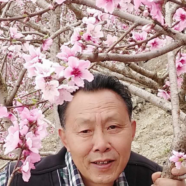 雨后丶陽(yáng)光依舊燦爛