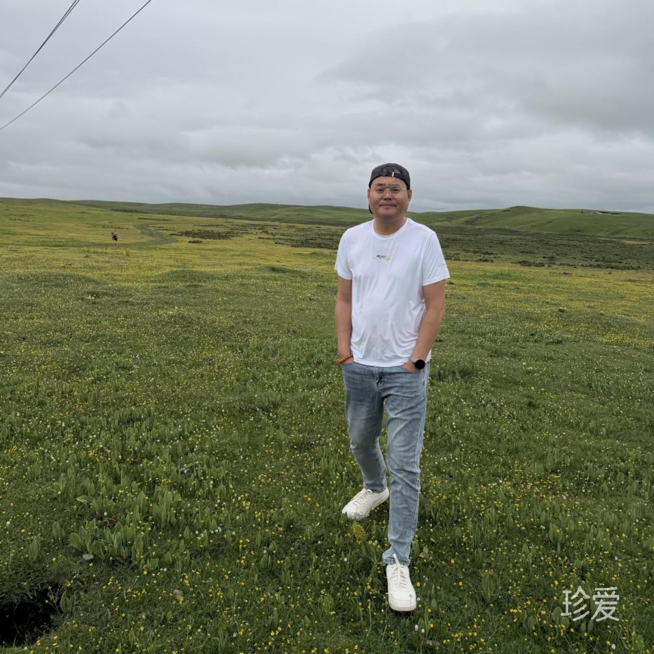 孤侠