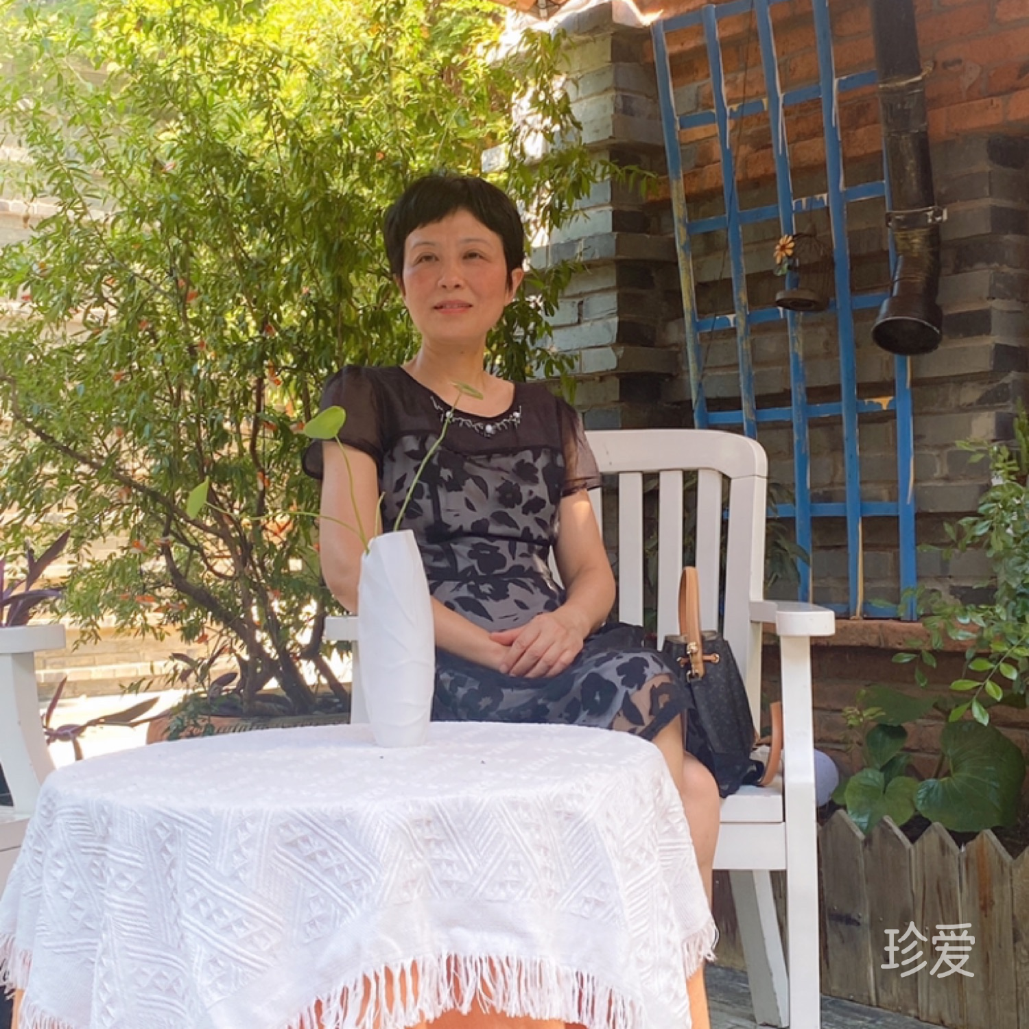 仙人掌