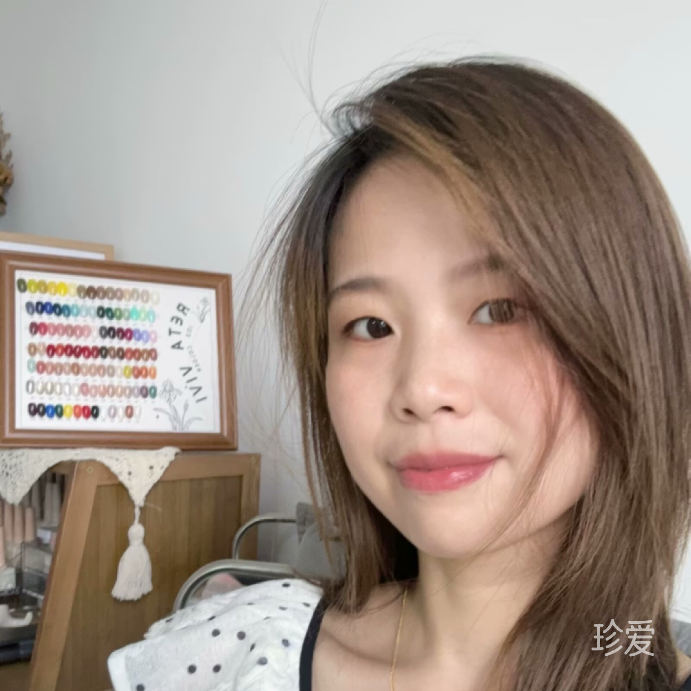 沉鱼落雁陈女士