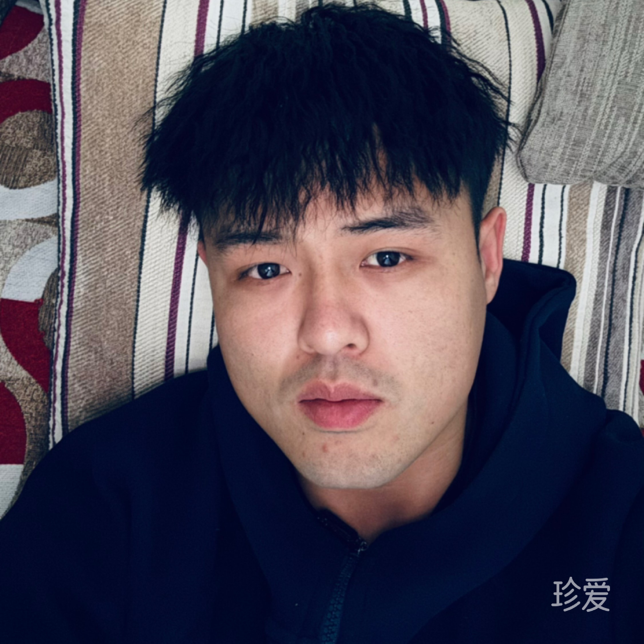 枯木难逢春
