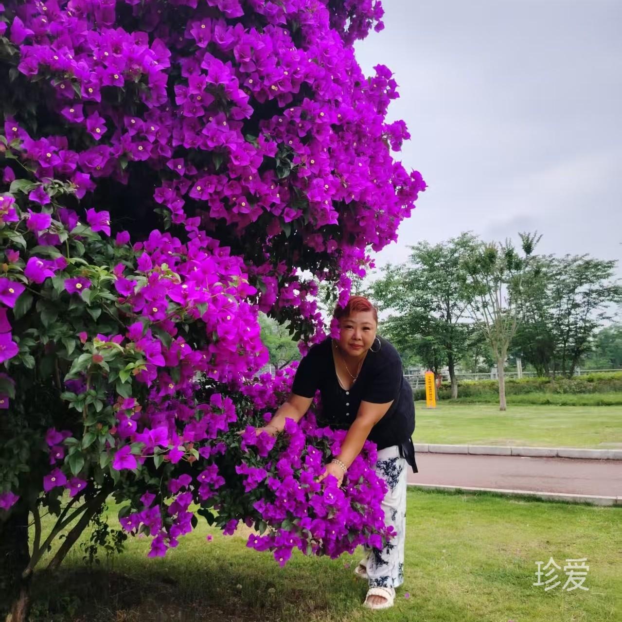 浮云似梦