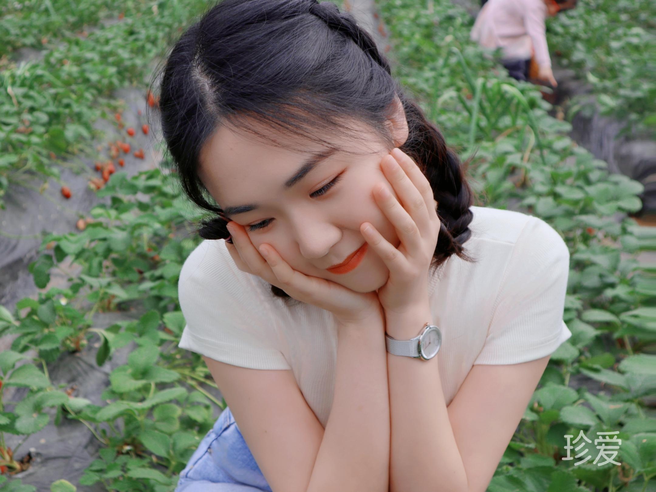 手可摘星陈女士