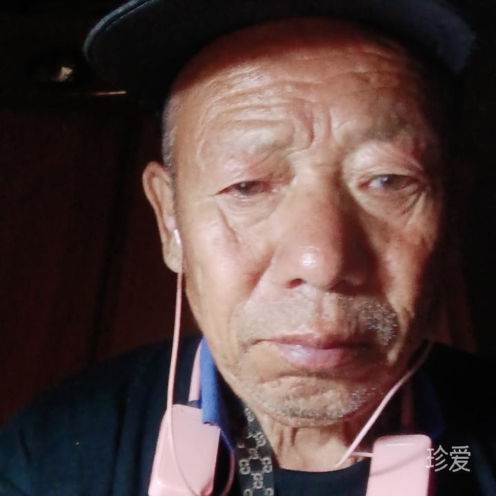 都市花朗