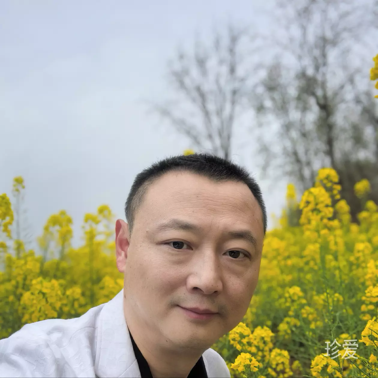 云上之巅