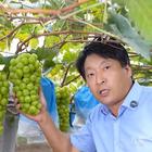仙劍佛刀