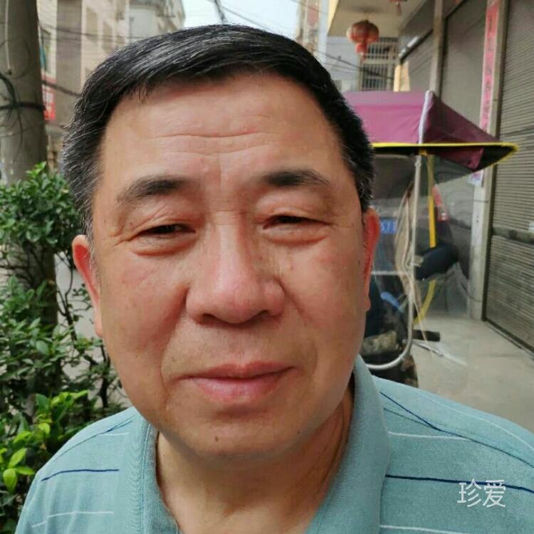 乘春風踏歌而來