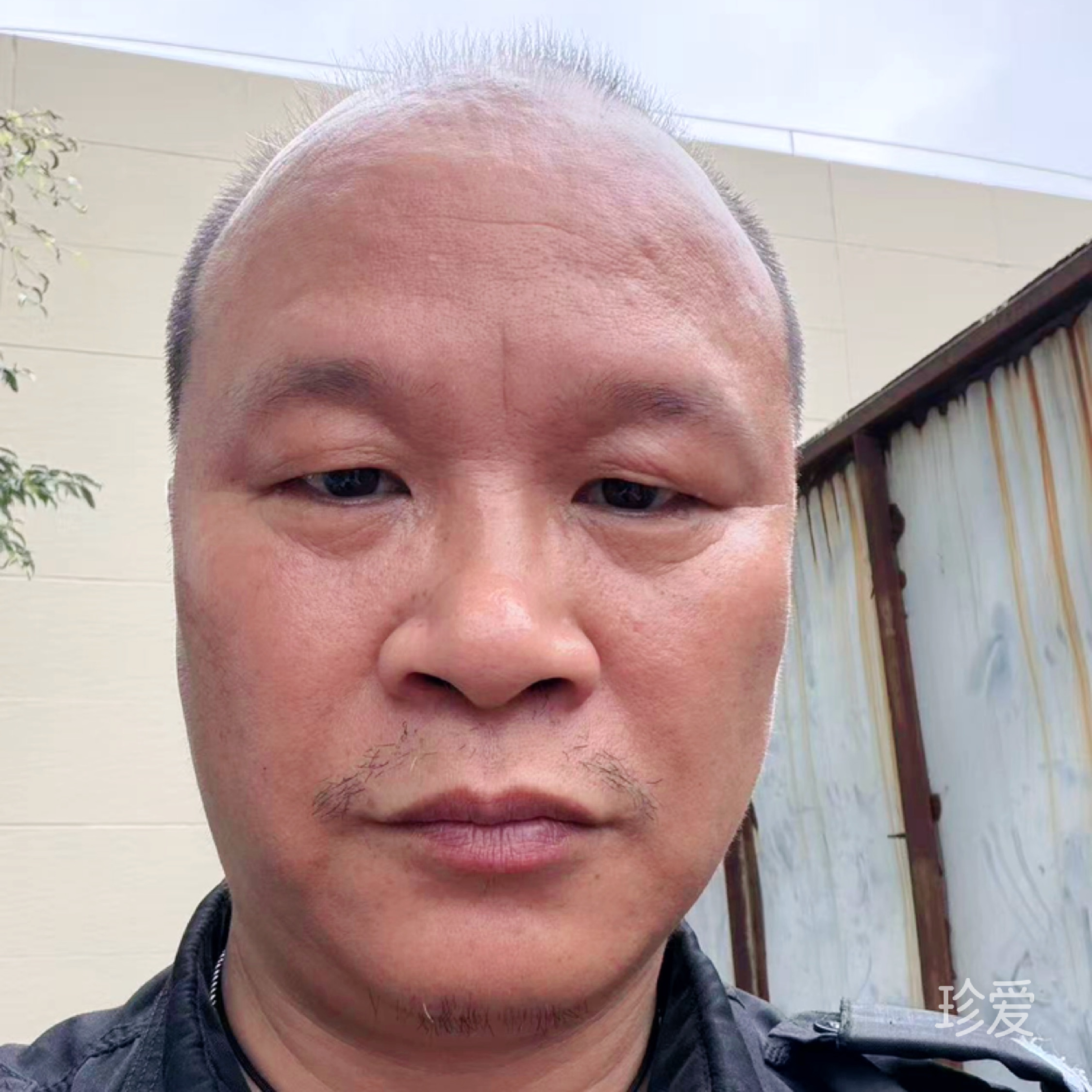 辉少