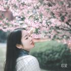 蘇蘇