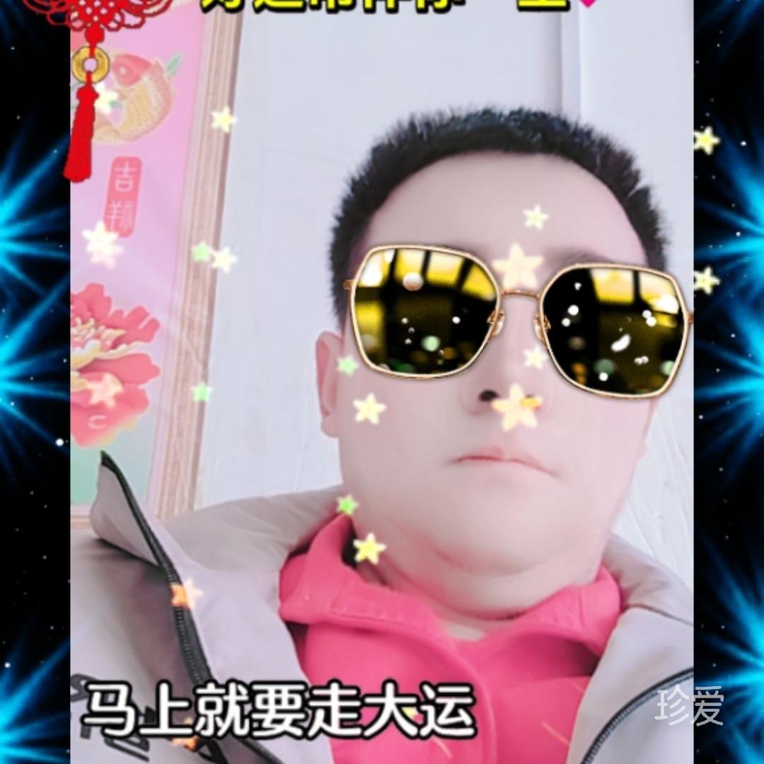 雁南飞