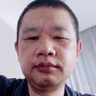 歲月如新