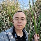 揚(yáng)帆