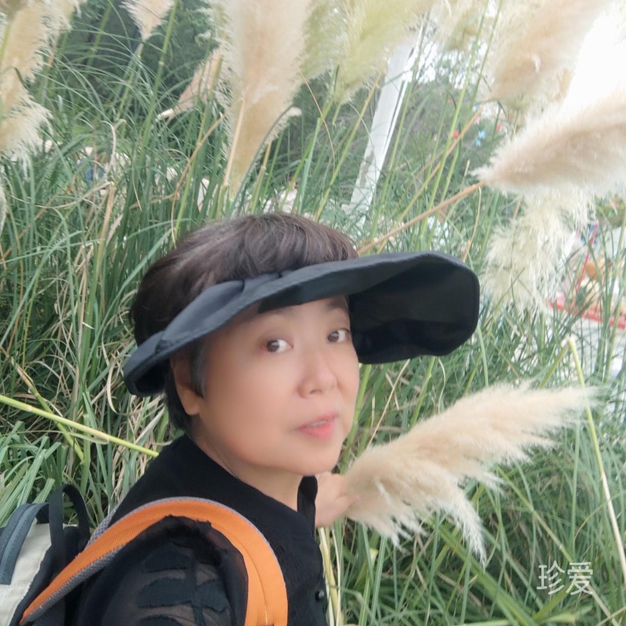 浪花飞渡