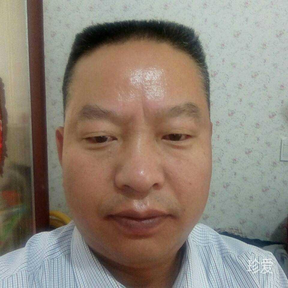 人生若只如初見