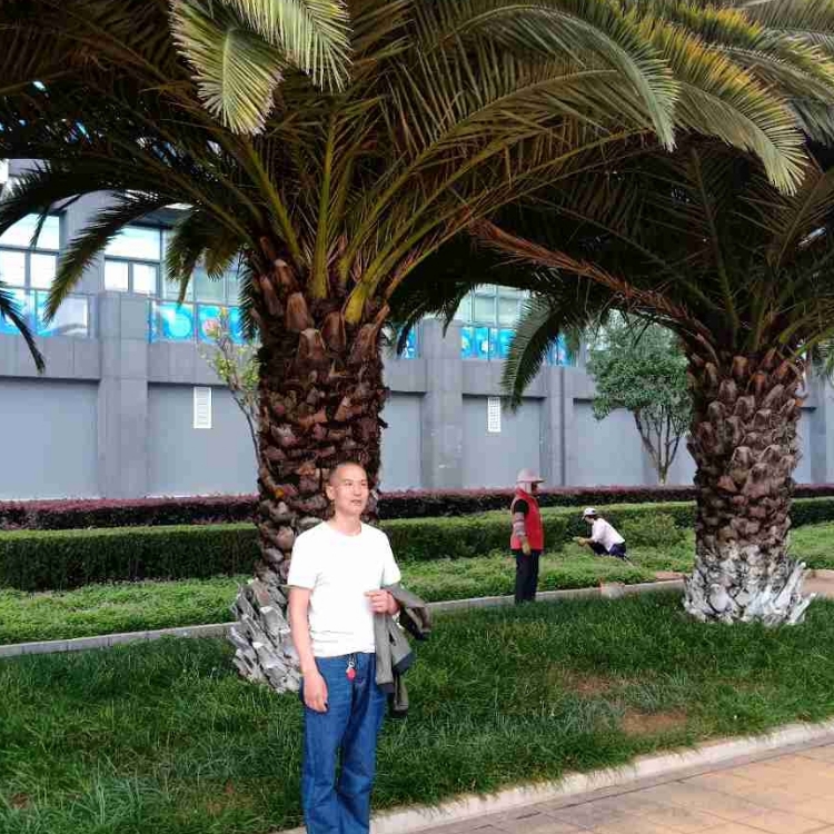 唯美的曾經(jīng)