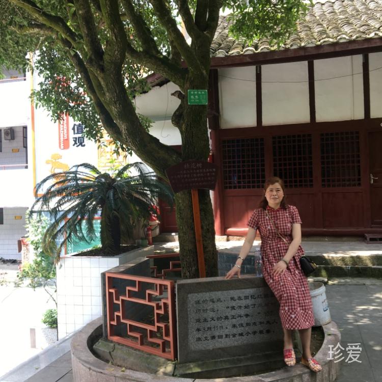 风过林香