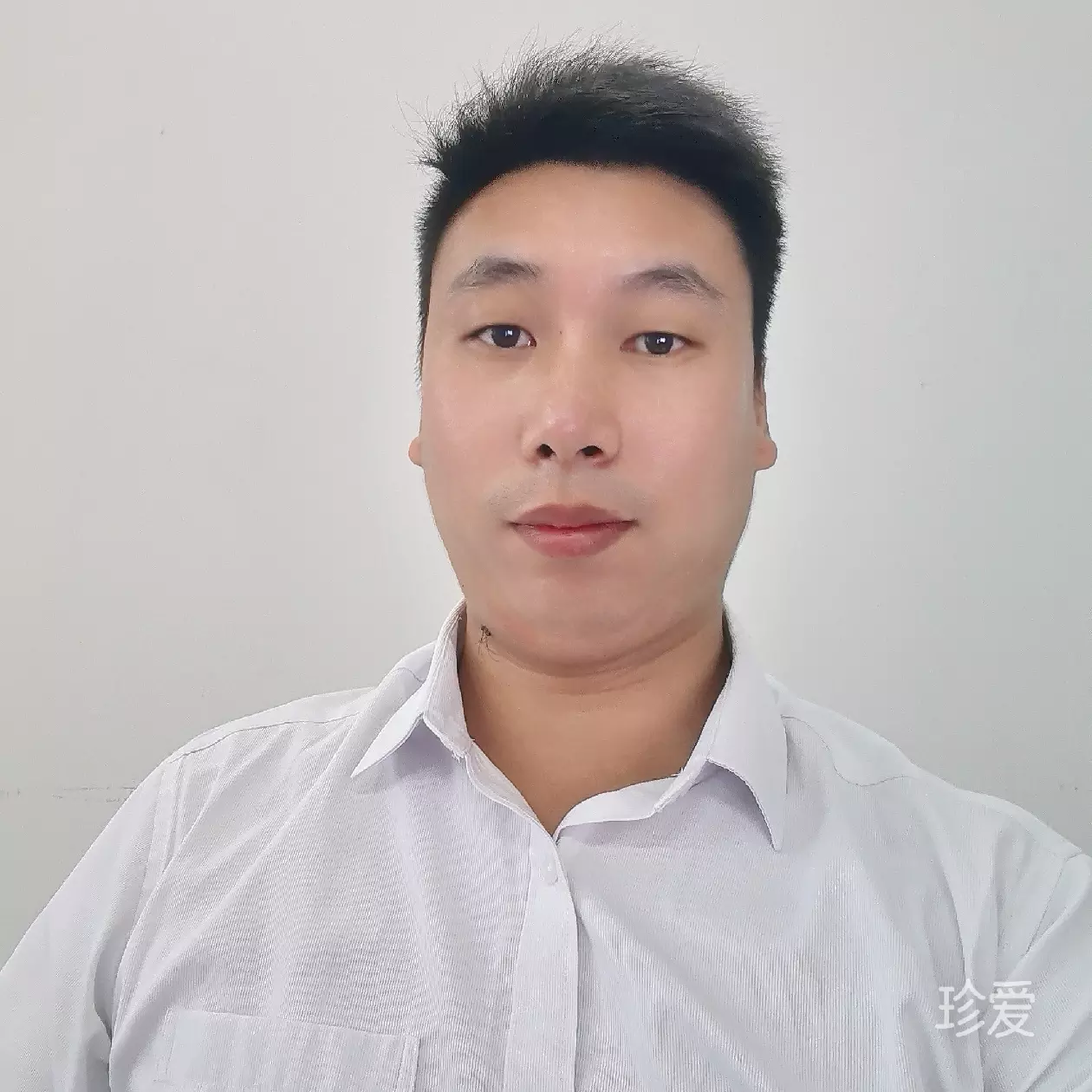 飘零的鱼