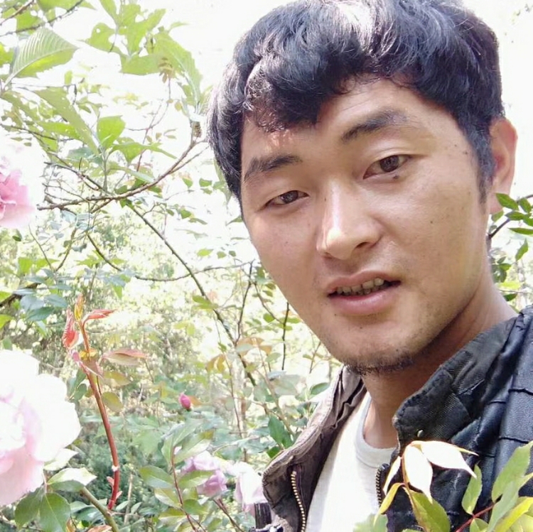 我要真正的愛情