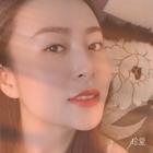 藍(lán)桉