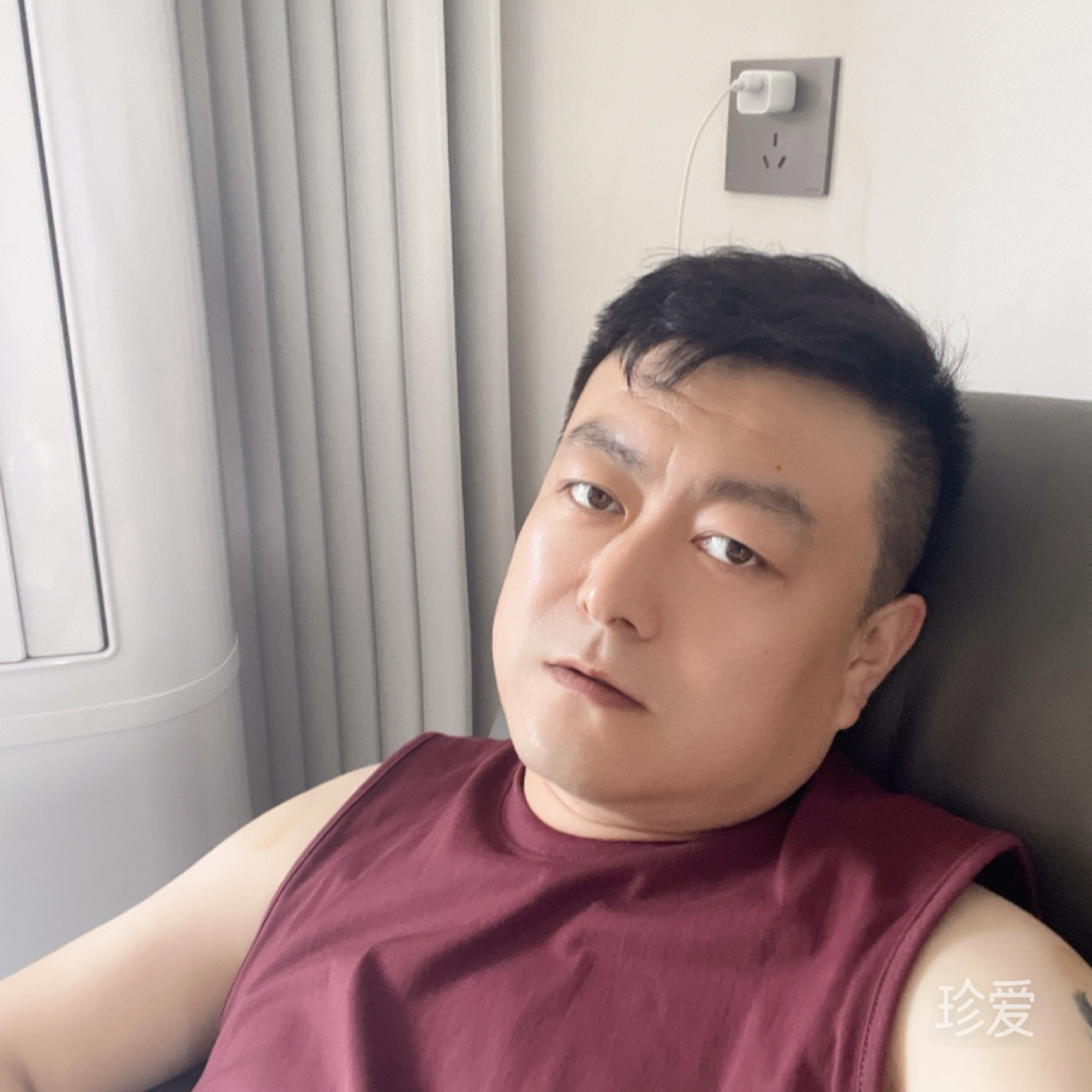 自由飞翔